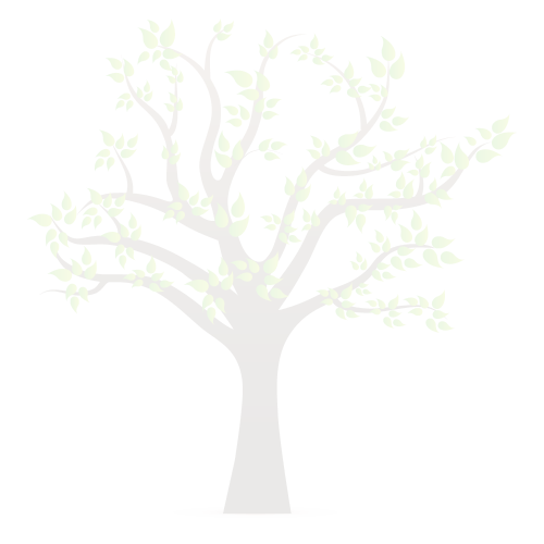 Empty Tree